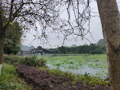 -南宁花花大世界景区