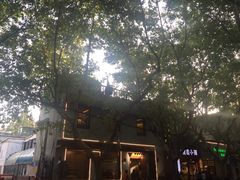 -五观堂素食(新华路店)