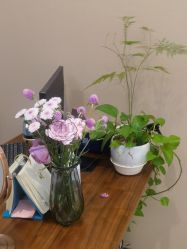 -厦门美莱整形美容医院