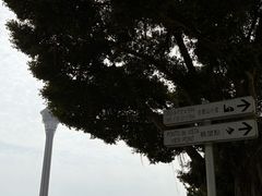 -澳门旅游塔360°旋转餐厅(南湾湖广场店)