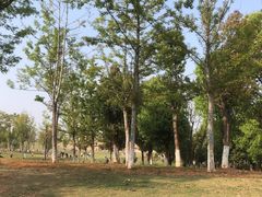 -盘龙城国家考古遗址公园