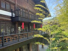 -大唐贡茶院
