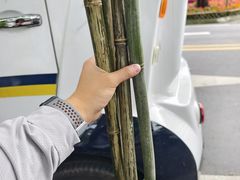 -青城山