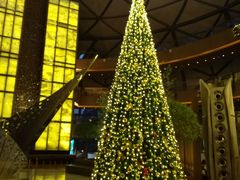 -上海滴水湖皇冠假日酒店