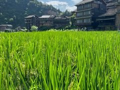 -程阳八寨景区