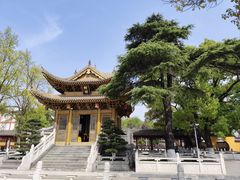 -上海东林寺(金山区)