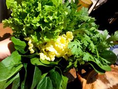 蔬菜拼盘-十六蒲(桂林路店)