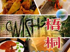 -梧桐