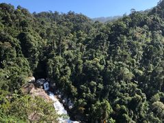 -海南热带雨林国家公园吊罗山景区