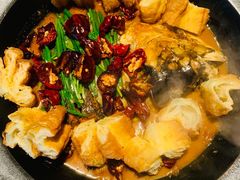 段氏绝味鱼头-柿合缘新京菜(国金中心商场店)