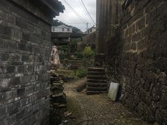 -桑洲油菜花景区