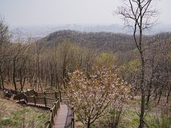 -大伊山景区