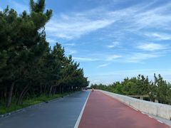-日照海滨国家森林公园