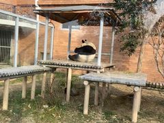 -苏州太湖国家湿地公园