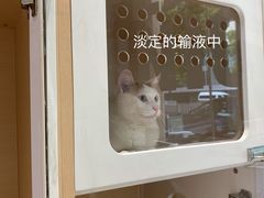 -柏萃动物医院·骨科·牙科