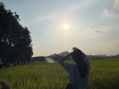 -光明小镇欢乐田园
