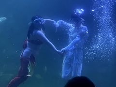 -左海海底世界