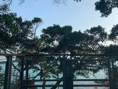 -赤柱马坑公园