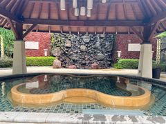 -天目湖涵田半山温泉