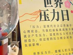 -解忧集市(北京路天河城店)