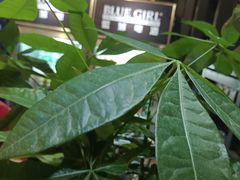 -湘当爱·鲜煮现炒(松岗立业路店)