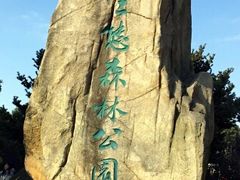 -昆山城市生态森林公园