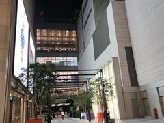 -港汇恒隆广场