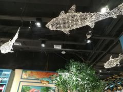 -喜鱼客(局外太格茂店)
