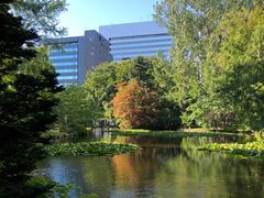 -北海道厅旧本厅舍(旧本庁舎)