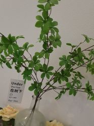 -禾壹净·素颜美问题肌肤修护中心