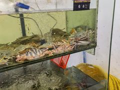 -岛中岛·海鲜大排档·万宁老字号(东澳店)
