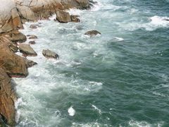-广东惠东海龟国家级自然保护区