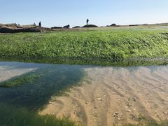 -日照灯塔风景区