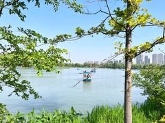 -昆山城市生态森林公园