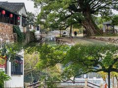 -苏州冶园园林民宿(太湖西山风景区店)