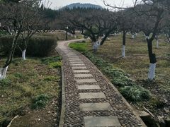 -白马涧龙池景区