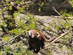 -青藏高原野生动物园