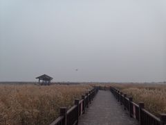 -南大港湿地风景区