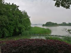 -长广溪湿地公园
