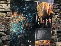 -怀托摩萤火虫洞