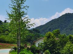 -大余丫山旅游度假区