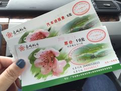 -南国桃园旅游度假区