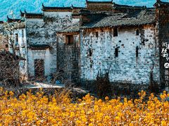 -婺源风景区