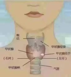 -名发世家烫染
