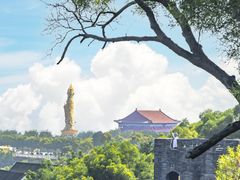 -荔湾湖公园