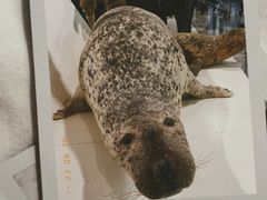 -浙江自然博物院(杭州馆)