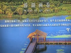 -溱湖国家湿地公园