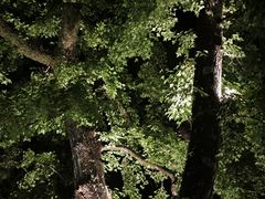 -广东温泉宾馆