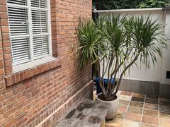 -馨园villa融合菜(东山店)