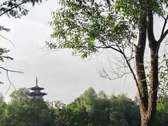 -洋湖国家湿地公园